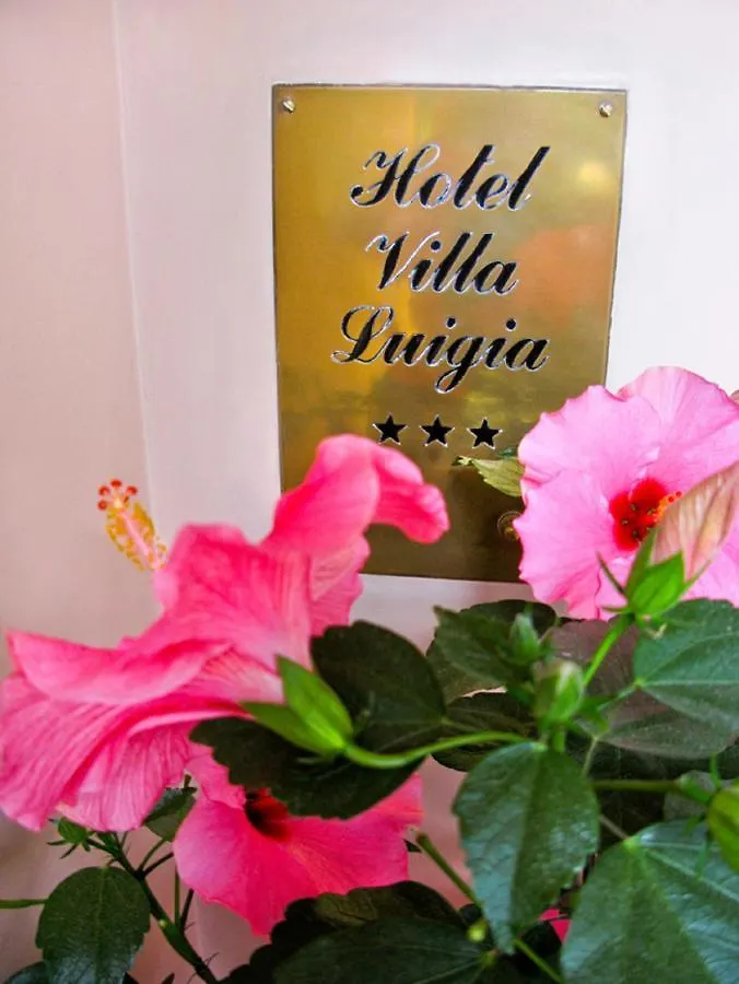 Hotel Villa Luigia Rimini 3*,
